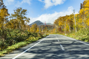 Panorama Line In Autumn On The Road